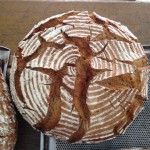 Bauernbrot biologisch